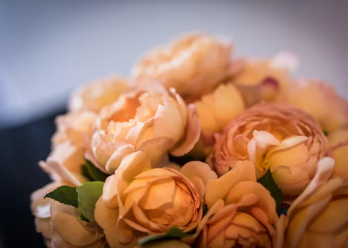 Ξενοδοχείο Melchior Park