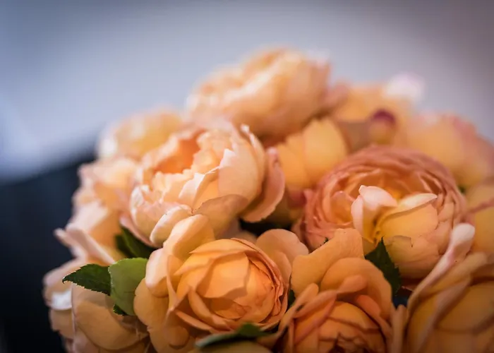 Melchior Park 4* Βίρτσμπουργκ